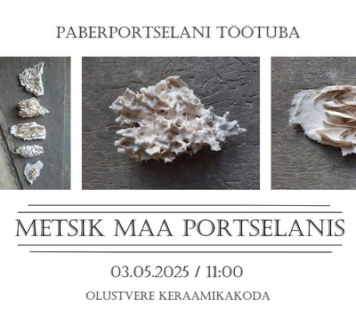 METSIK MAA PORTSELANIS