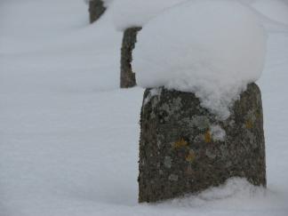 Talv Olustvere mõisas