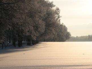 Talv Olustvere mõisas